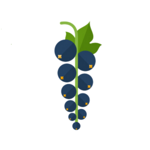 blackcurrant-fekete-ribizli