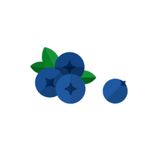 blueberry-áfonya